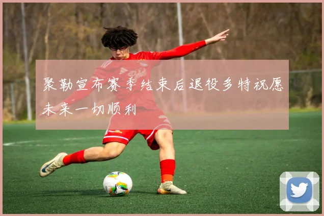 聚勒宣布赛季结束后退役多特祝愿未来一切顺利